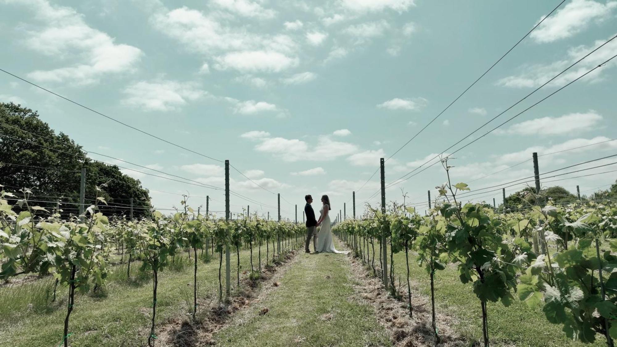Pinkmead Estate And Vineyard Villa Osborne  Buitenkant foto